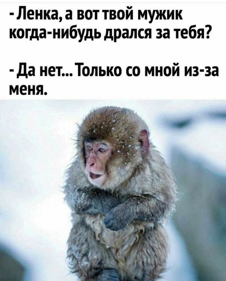 - Ленка, а вот твой мужик когда-нибудь дрался за тебя?
- Да нет... Только со мной из-за меня.