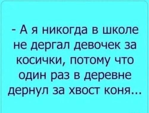 - А я никогда в школе не дергал девочек за косички, потому что один раз в деревне дернул за хвост коня...