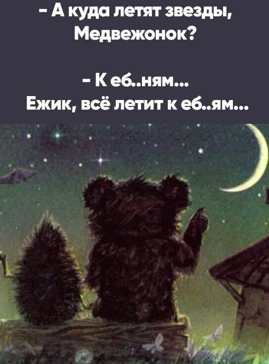 А куда летят звезды, Медвежонок? - К еб..ням... Ежик, всё летит к еб..ям...