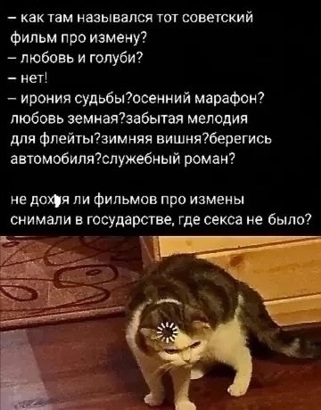 – как там назывался тот советский фильм про изменение?
– любовь и голуби?
– нет!
– ирония судьбы?осенний марафон?
любовь земная?забытая мелодия для флейты?зимняя вишня?берегись автомобиля?служебный роман?
не дóха́ли ли фильмов про изменения снимали в государстве, где секса не было?