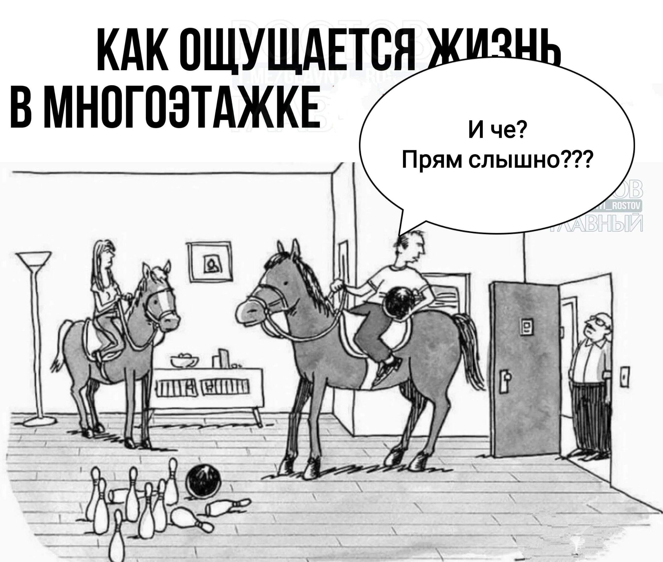 КАК ОЩУЩАЕТСЯ ЖИЗНЬ В МНОГОЭТАЖКЕ
И че?
Прям слышно???