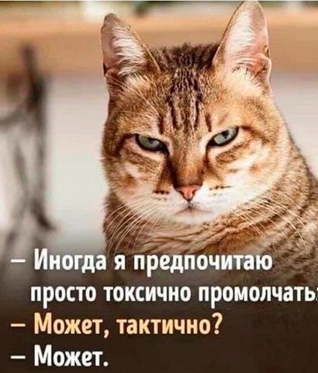 - Иногда я предпочитаю просто токсично промолчать.
- Может, тактично?
- Может.