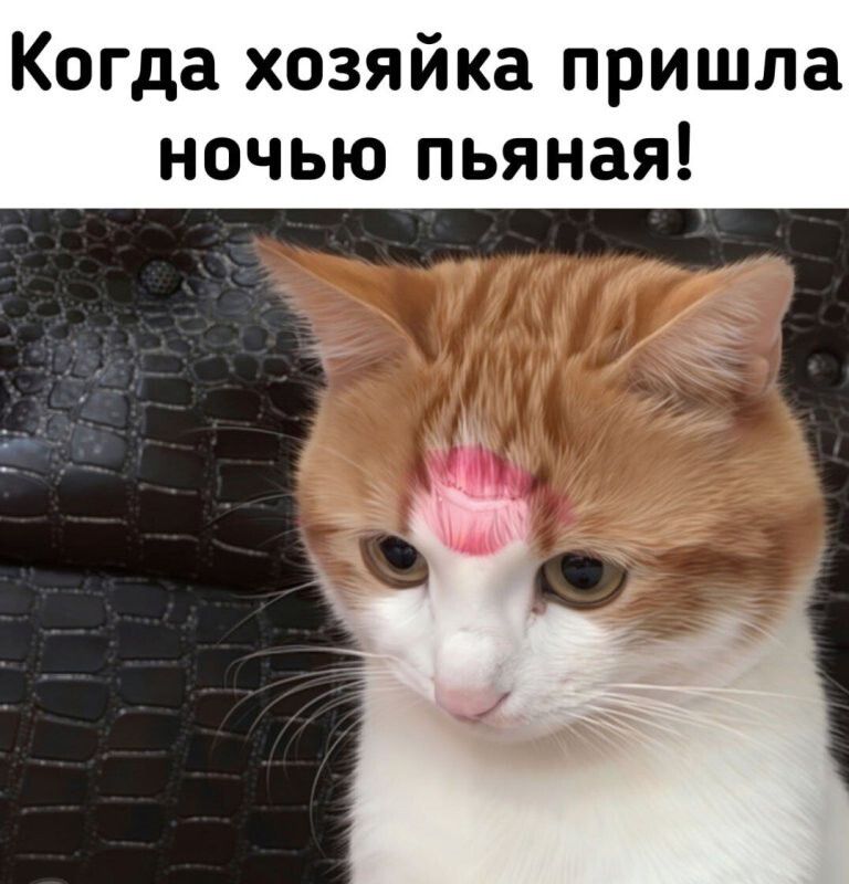 Когда хозяйка пришла ночью пьяная!