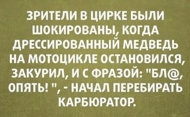 Зрители в цирке были шокированы, когда дрессированный медведь на мотоцикле остановился, закурил, и с фразой: 