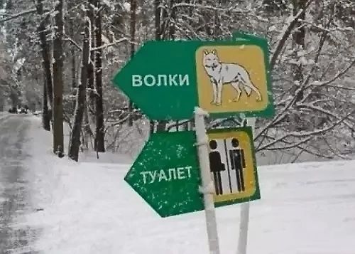 ВОЛКИ
ТУАЛЕТ