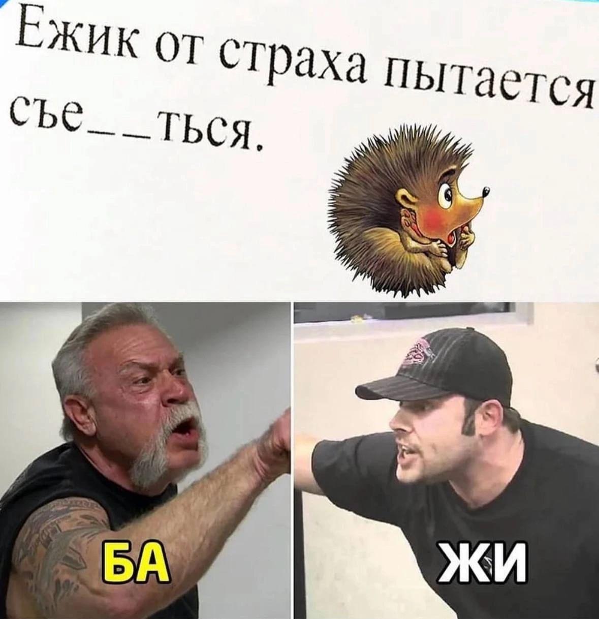 Ёжик от страха пытается съе__ться.