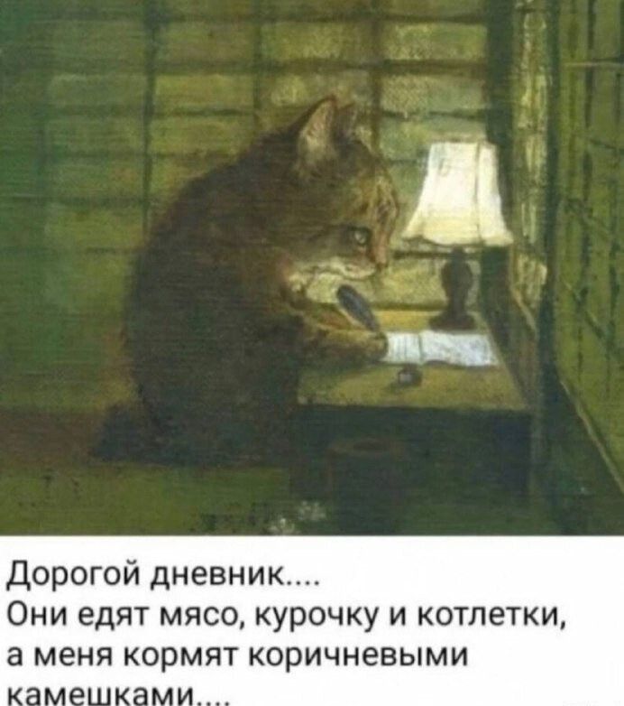 Дорогой дневник....
Они едят мясо, курочку и котлетки, а меня кормят коричневыми камешками....