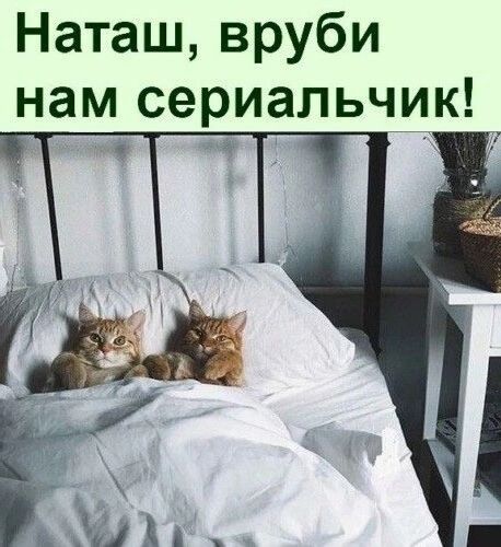 Наташ, вруби нам сериалчик!