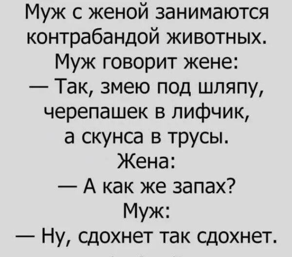 Муж с женой занимаются контрабандой животных.
Муж говорит жене:
— Так, змею под шляпу, черепашек в лифчик, а скунса в трусы.
Жена:
— А как же запах?
Муж:
— Ну, сдохнет так сдохнет.