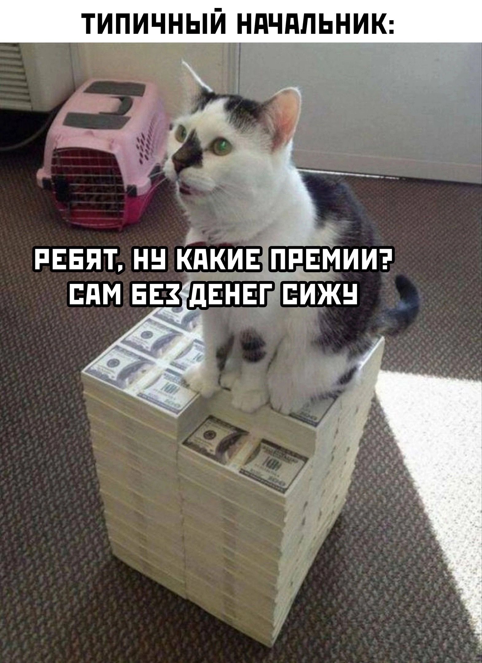 ТИПИЧНЫЙ НАЧАЛЬНИК: РЕБЯТ, НУ КАКИЕ ПРЕМИИ? САМ БЕЗ ДЕНЕГ СИЖУ
