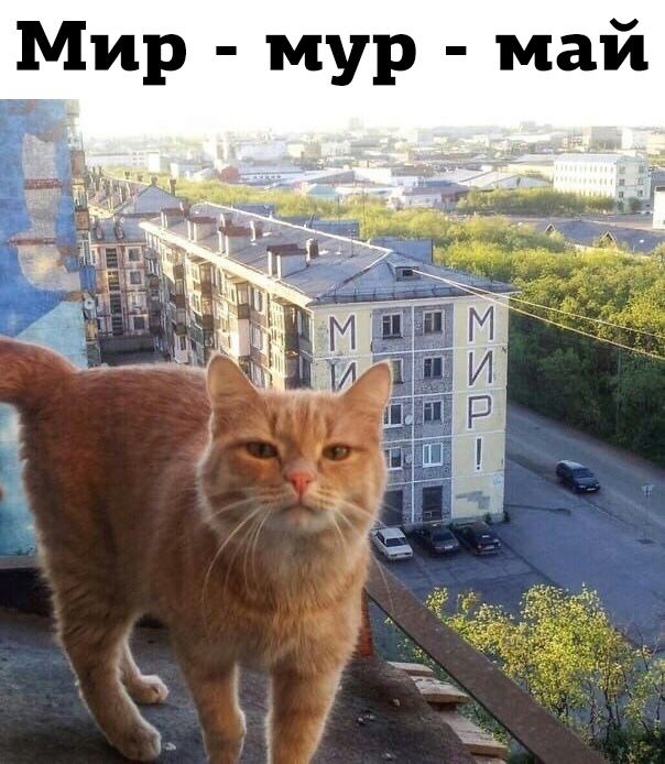 Мир - мур - май