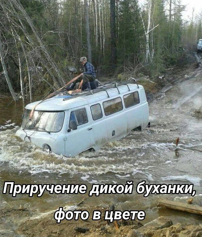 Приручение дикой буханки, фото в цвете