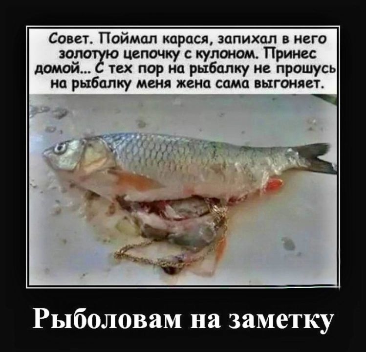 Совет. Поймал карася, запихал в него золотую цепочку с кулоном. Принес домой... С тех пор на рыбалку не прошу, на рыбалку меня жена сама выгоняет.