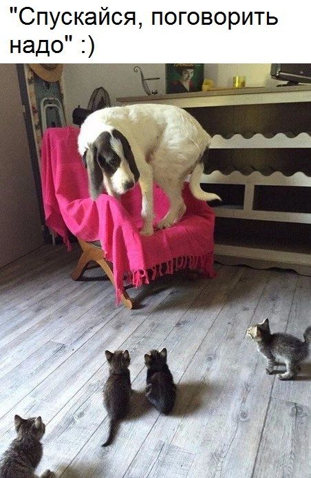 Спускайся, поговорить надо :)