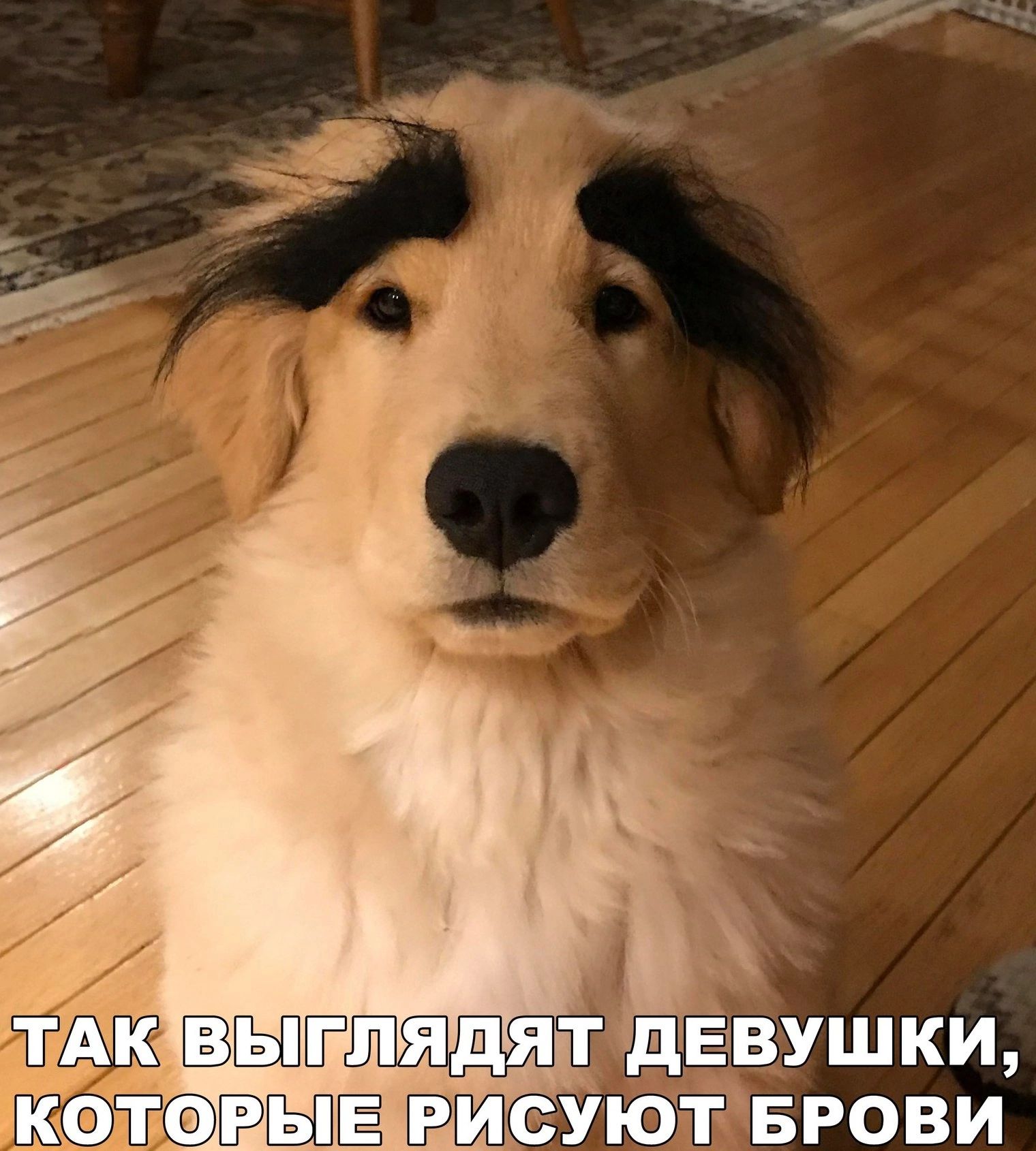 ТАК ВЫГЛЯДЯТ ДЕВУШКИ, КОТОРЫЕ РИСУЮТ БРОВИ