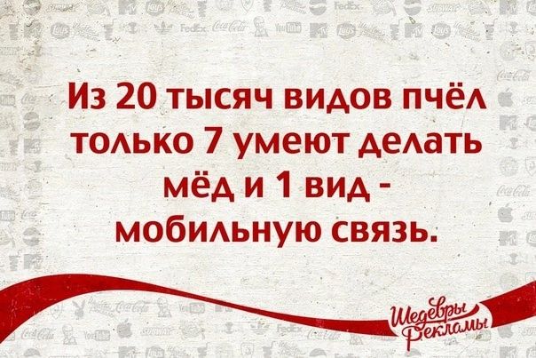Из 20 тысяч видов пчёл только 7 умеют делать мёд и 1 вид - мобильную связь.
