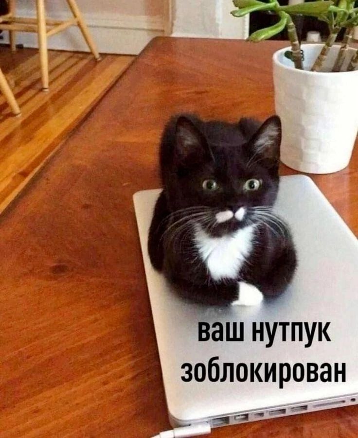 ваш нутпук зоблокирован
