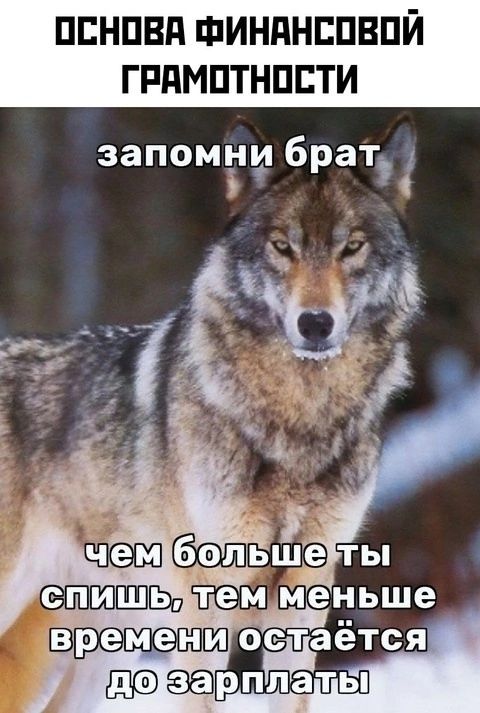 ОСНОВА ФИНАНСОВОЙ ГРАМОТНОСТИ
запомни брат
чем больше ты спишь, тем меньше времени остаётся до зарплаты