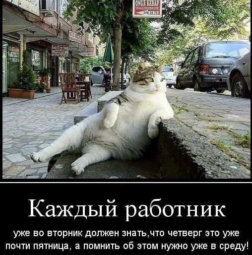 Каждый работник уже во вторник должен знать, что четверг это уже почти пятница, а помнить об этом нужно уже в среду!