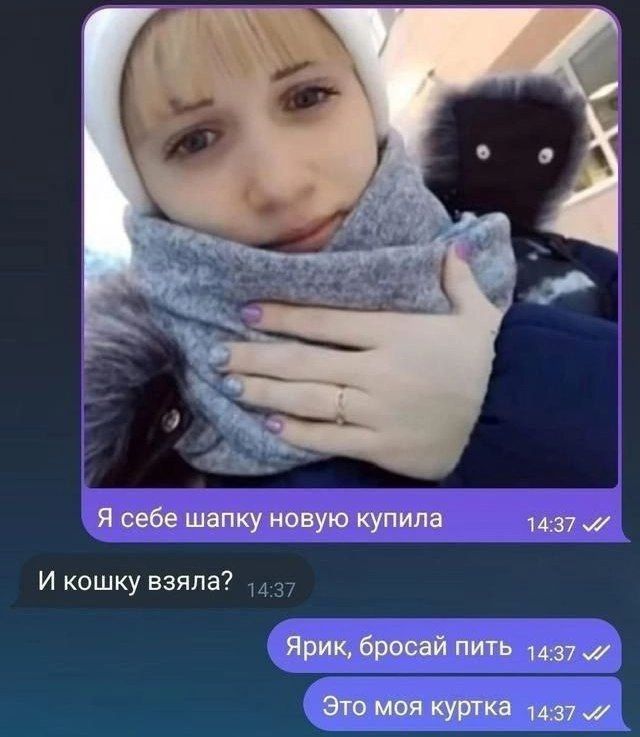 Я себе шапку новую купила 14:37
И кошку взяла? 14:37
Ярик, бросай пить 14:37
Это моя куртка 14:37