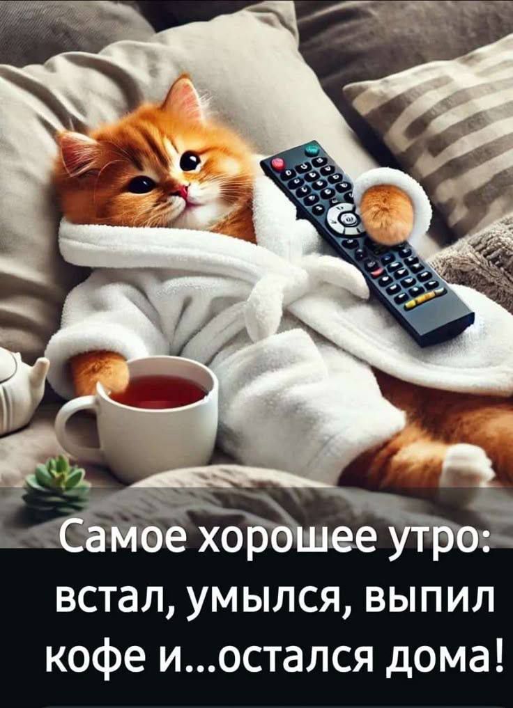 Самое хорошее утро: встал, умылся, выпил кофе и...остался дома!