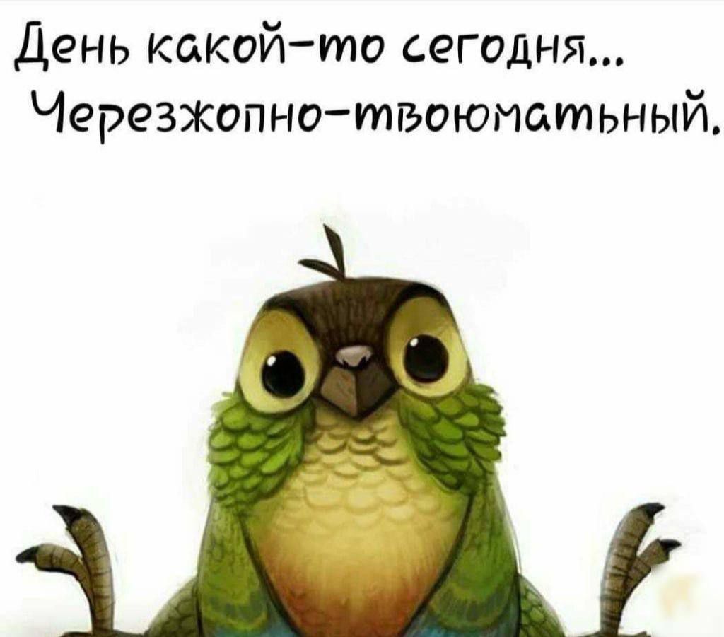 День какой-то сегодня... Черезжопно-твюматный.
