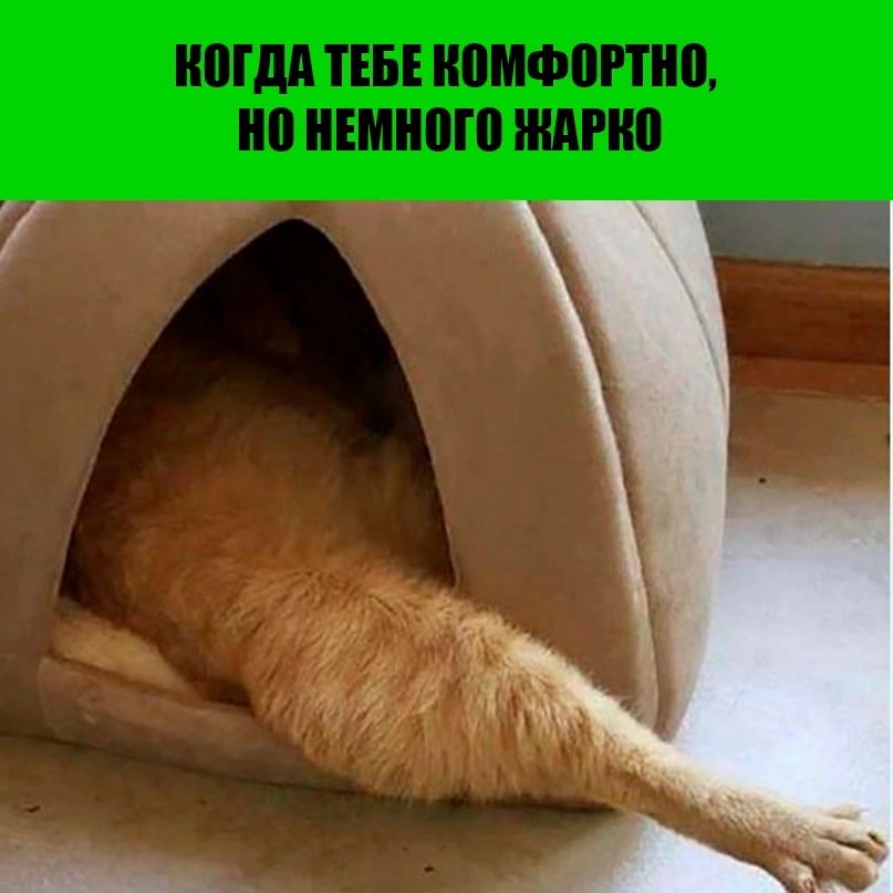 КОГДА ТЕБЕ КОМФОРТНО, НО НЕМНОГО ЖАРКО