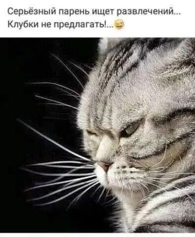 Серьёзный парень ищет развлечений... Клубки не предлагать!...