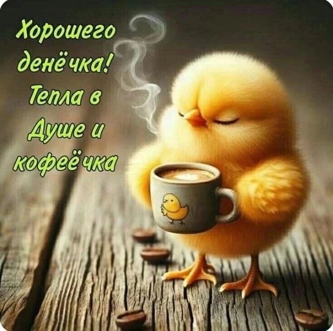 Хорошего денёчка! Тепла в Душе и кофейка