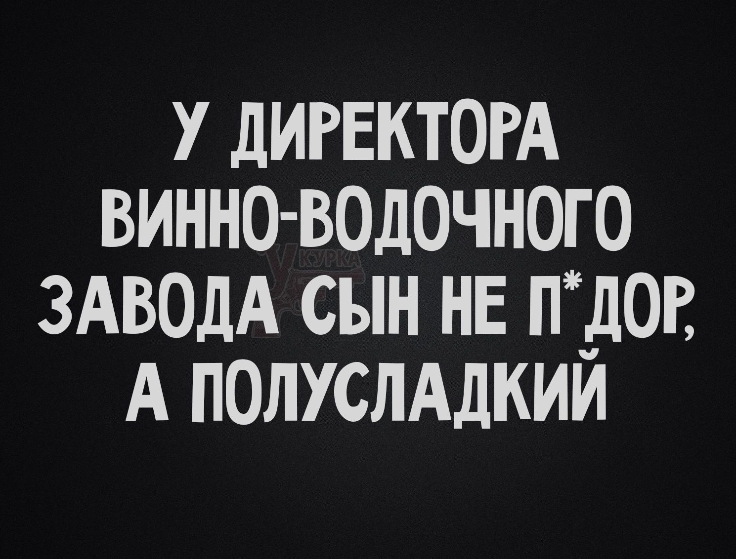 У ДИРЕКТОРА ВИННО-ВОДОЧНОГО ЗАВОДА СЫН НЕ П*ДОР, А ПОЛУСЛАДКИЙ
