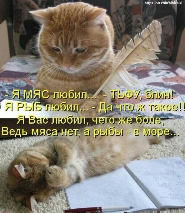 – Я МЯС loved... – ТЬФУ, блин!
Я РЫБ loved... – Да что ж такое!!
Я Вас loved, чего же более,
Ведь мяса нет, а рыбы - в море...