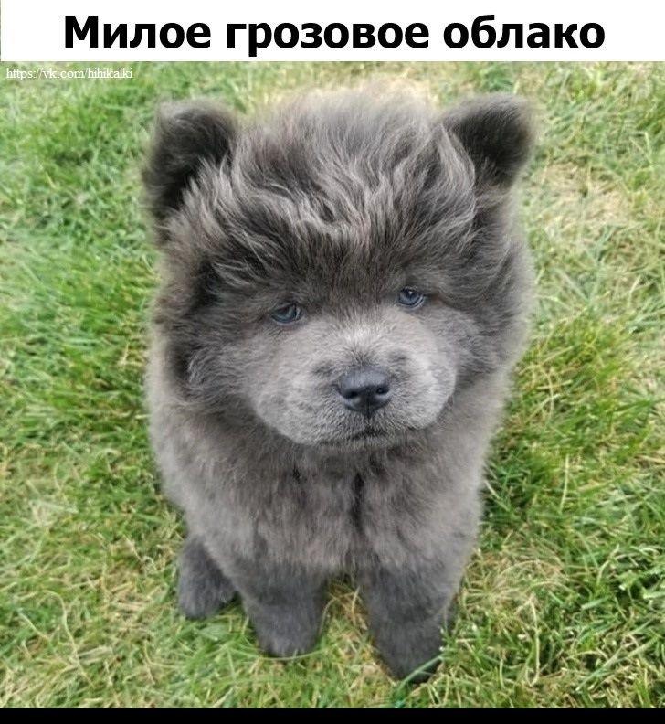 Милое грозовое облако