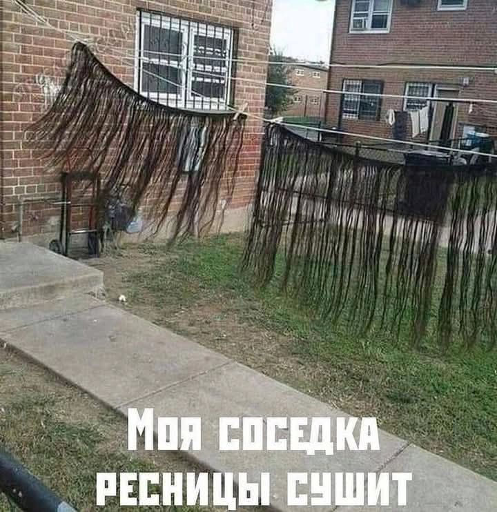 Моя соседка ресницы сушит