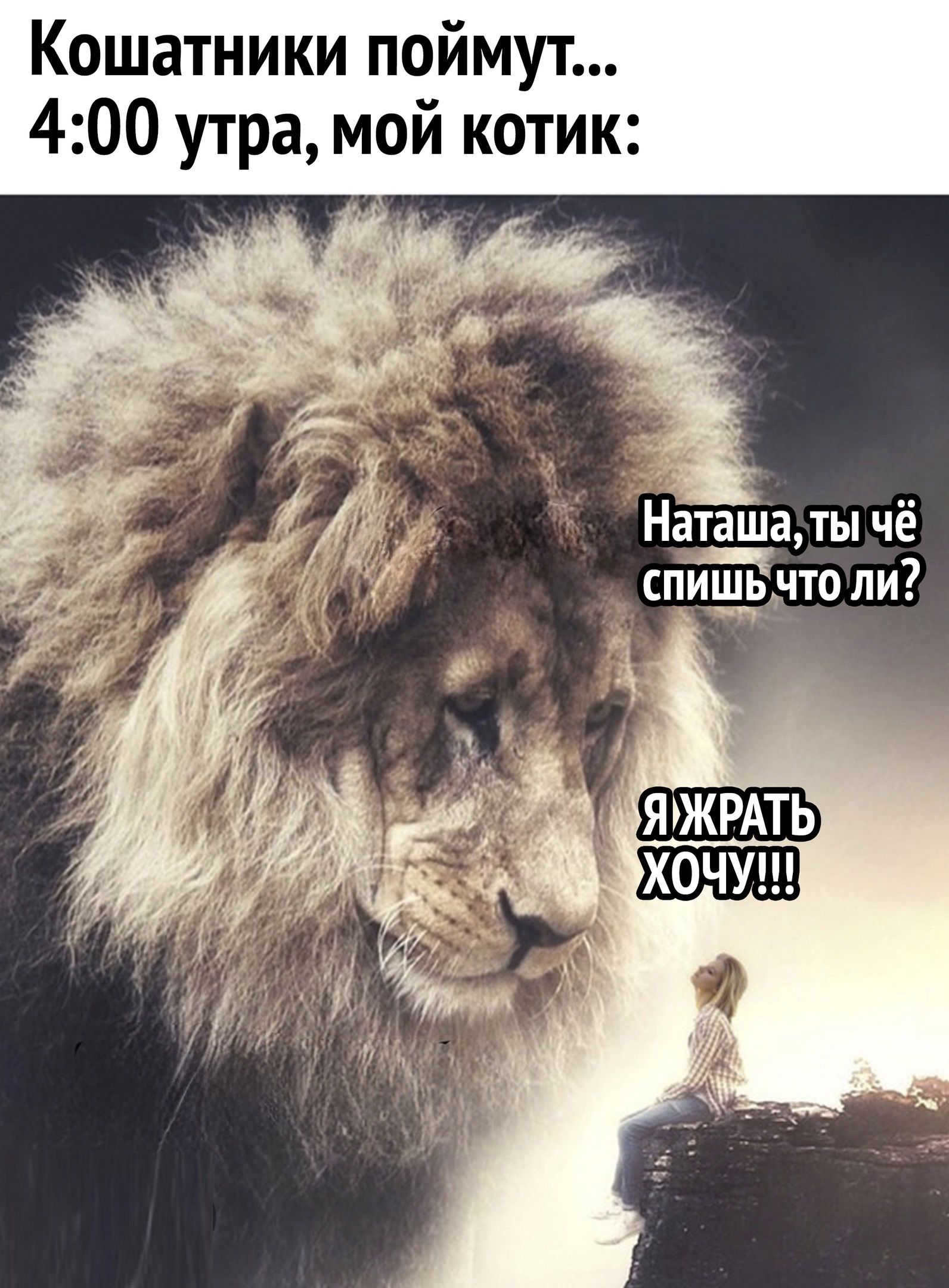 Кошатники поймут...
4:00 утра, мой котик:
Наташа, ты чё спишь что ли?
Я ЖРАТЬ ХОЧУ!!!