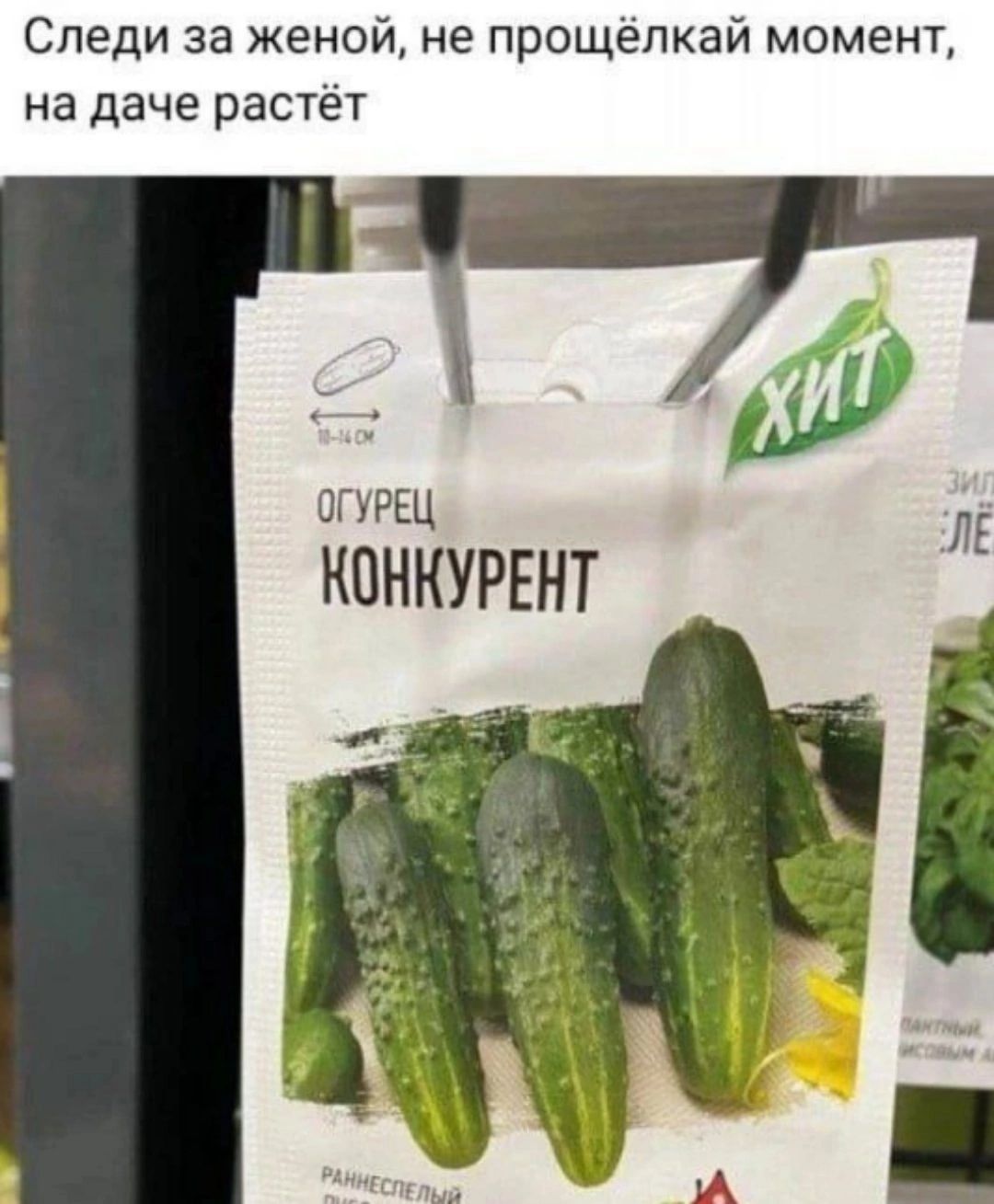 Следи за женой, не прощай момент, на даче растёт
огурец КОНКУРЕНТ