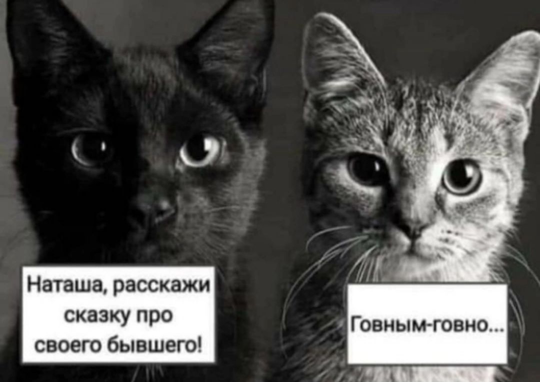 Наташа, расскажи сказку про своего бывшего!
Говным-гавно...