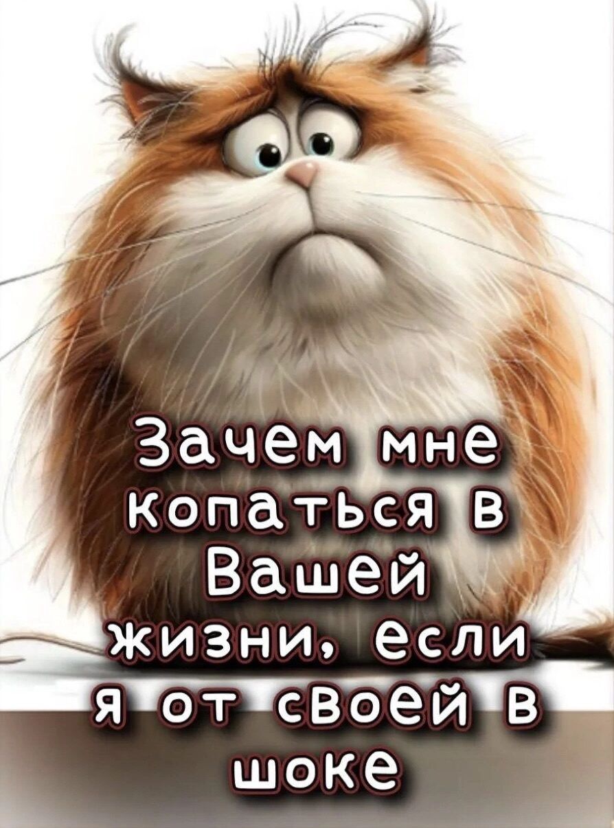 Зачем мне копаться в Вашей жизни, если я от своей в шоке
