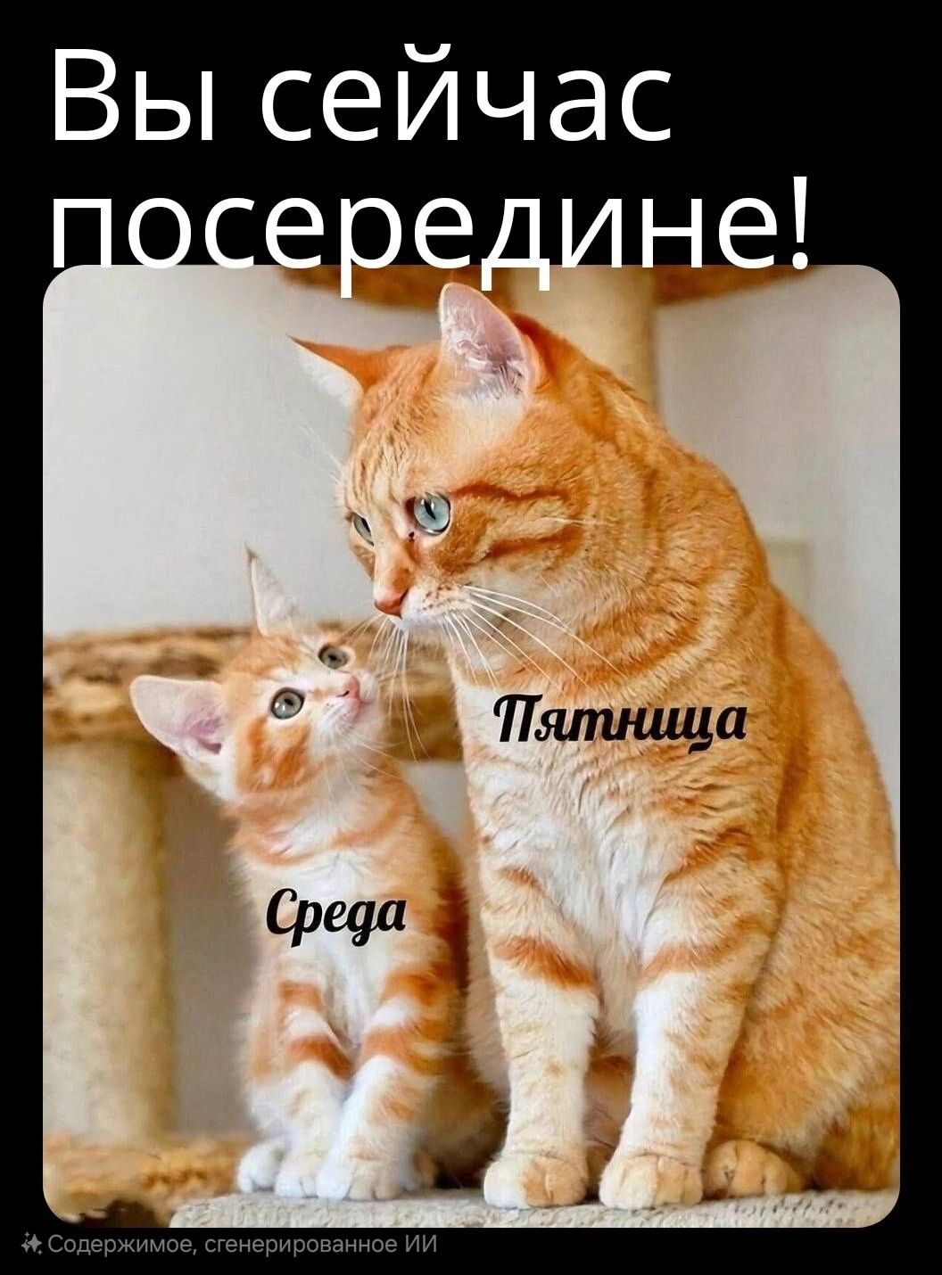 Вы сейчас посередине! Среда Пятница
