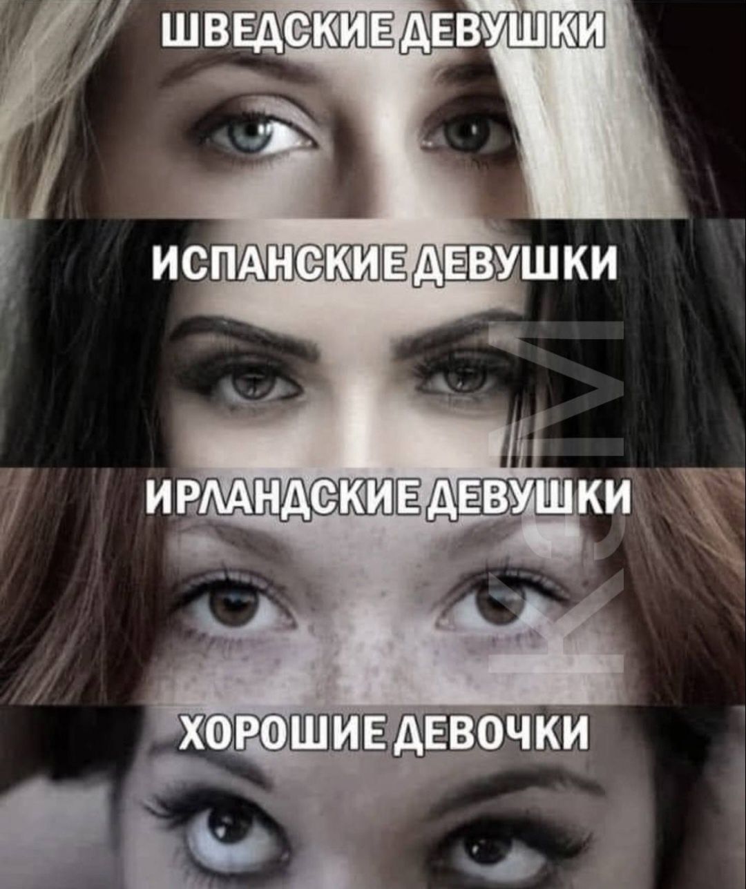 ШВЕДСКИЕ ДЕВУШКИ
ИСПАНСКИЕ ДЕВУШКИ
ИРЛАНДСКИЕ ДЕВУШКИ
ХОРОШИЕ ДЕВЧОПКИ