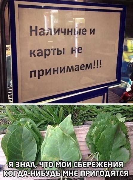 Наличные и карты не принимаем!!!
Я знал, что мои сбережения когда-нибудь мне пригодятся.