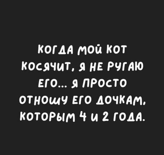 когда мой кот косячит, я не ругаю его... я просто отношу его дочкам, которым 4 и 2 года.