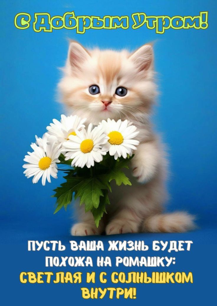 С Добрым Утром!
Пусть ваша жизнь будет похожа на ромашку: светлая и с солнышком внутри!