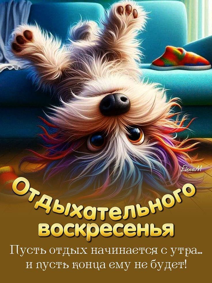 Отдыхательного воскресенья
Пусть отдых начинается с утра... и пусть конца ему не будет!