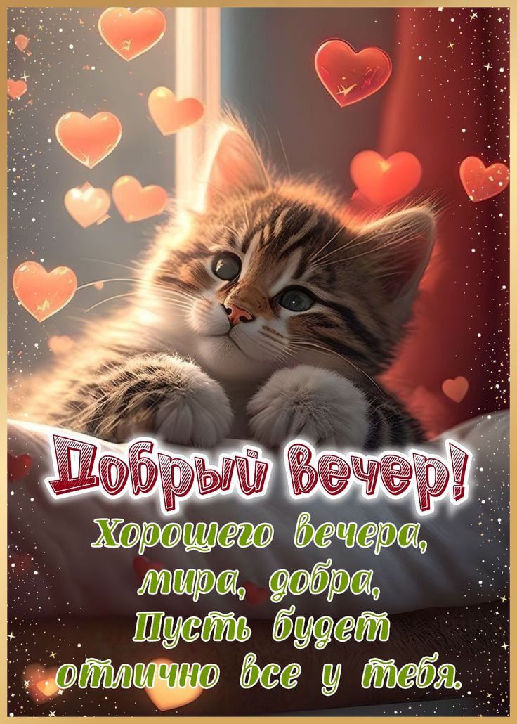 Добрый вечер!
Хорошего вечера, мира, добра,
Пусть будет отлично все у тебя.