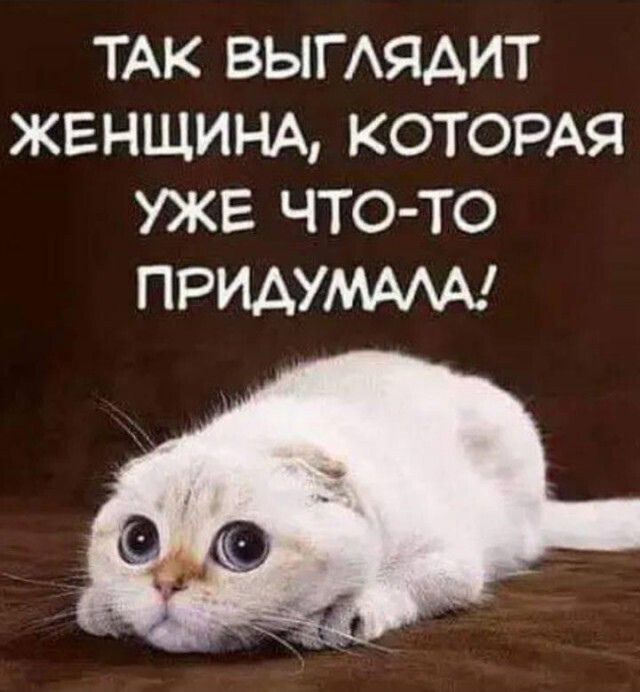 ТАК ВЫГЛЯДИТ ЖЕНЩИНА, КОТОРАЯ УЖЕ ЧТО-ТО ПРИДУМАЛА!