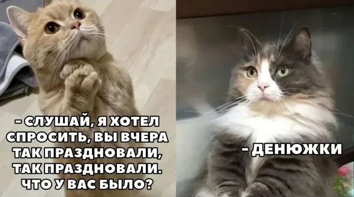 - Слушай, я хотел спросить, вы вчера так праздновали, так праздновали. Что у вас было? - ДЕНЮЖКИ