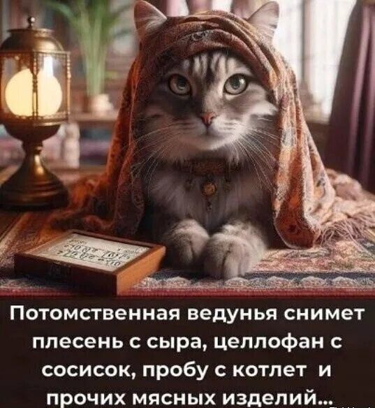 Потомственная ведунья снимет плесень с сыра, целлофан с сосисок, пробу с котлет и прочих мясных изделий...
