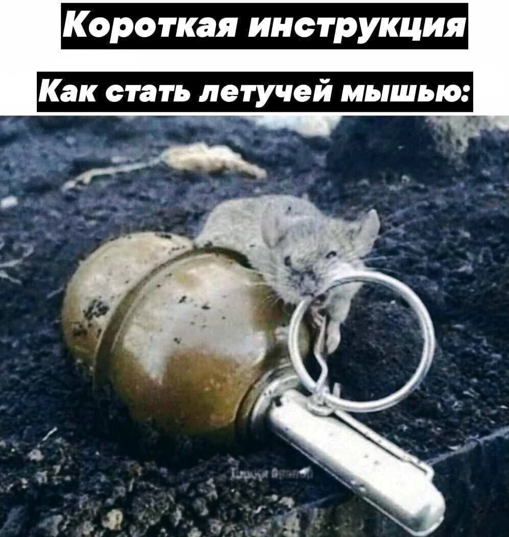 Короткая инструкция
Как стать летучей мышью:
