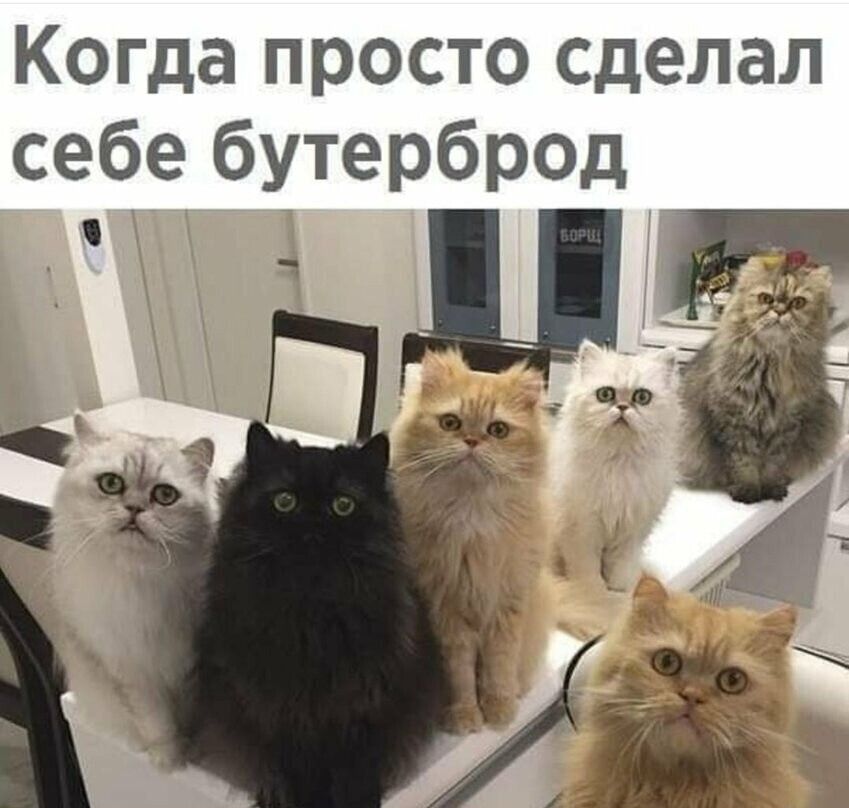 Когда просто сделал себе бутерброд