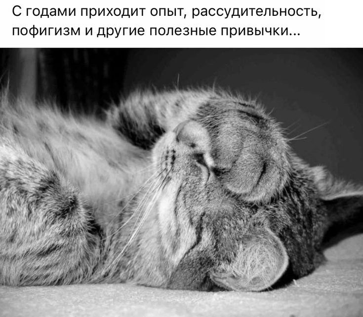 С годами приходит опыт, рассудительность, пофигизм и другие полезные привычки...